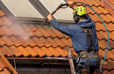 Démoussage et hydrofuge de toiture à Pomeys